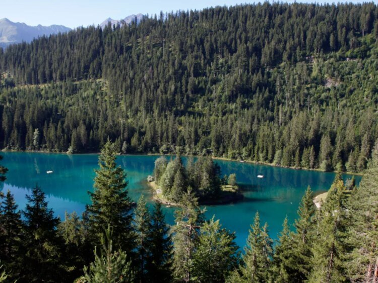 A second young man drowns in same Swiss lake
