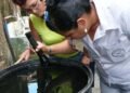 Cuba: More than 7,000 cases of dengue in 2026, 7.4 times what was expected