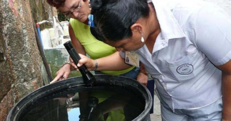 Cuba: More than 7,000 cases of dengue in 2026, 7.4 times what was expected