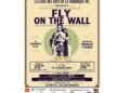 Today and Saturday don’t miss your chance to see Fly on the Wall – a Caribbean play presented by La Cour Des Arts De La Dominique Inc.