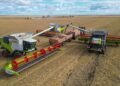 Kazakhstan harvest reaches 18.6M tons as farmers clear 81.5% of grain fields