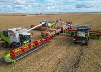 Kazakhstan harvest reaches 18.6M tons as farmers clear 81.5% of grain fields