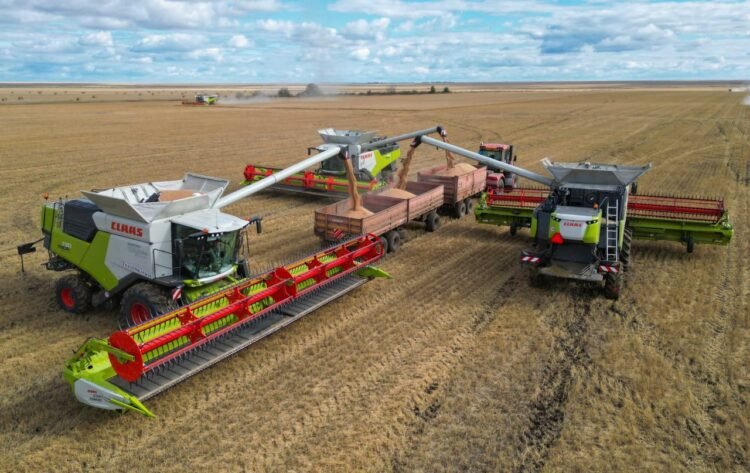 Kazakhstan harvest reaches 18.6M tons as farmers clear 81.5% of grain fields