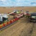 Kazakhstan harvest reaches 18.6M tons as farmers clear 81.5% of grain fields