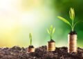 Uzbekistan’s agriculture sector sees 54% jump in foreign investment