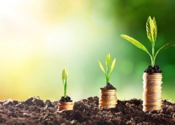 Uzbekistan’s agriculture sector sees 54% jump in foreign investment