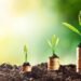 Uzbekistan’s agriculture sector sees 54% jump in foreign investment