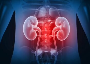 Regulator warns against indiscriminate use of painkillers and antibiotics, cites kidney disease risk
