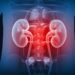 Regulator warns against indiscriminate use of painkillers and antibiotics, cites kidney disease risk