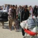 Yesterday, nearly 200 families of Afghan refugees returned to the country