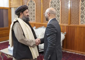 The development of economic, commercial and transit relations between Afghanistan and Turkey was discussed