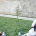 The problem of Afghan refugees was discussed