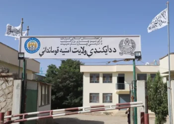 200 students of Daykandi graduated after professional studies