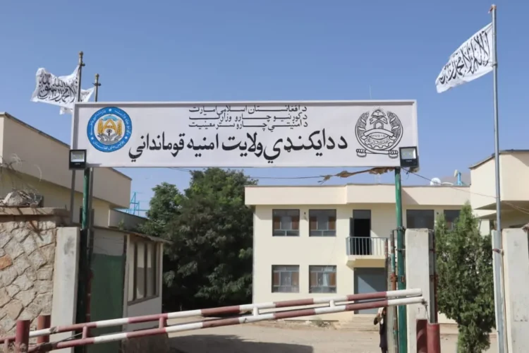 200 students of Daykandi graduated after professional studies