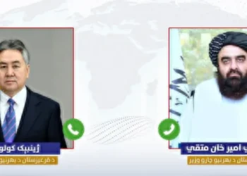 The Minister of Foreign Affairs had a telephone conversation with his Kyrgyz counterpart about further strengthening of bilateral relations