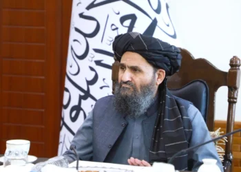 The Economic Commission has approved 66 drafts of internal standards