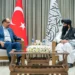 The Minister of Interior of the country met with the Turkish delegation