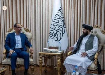 The Minister of Defense met with the Turkish delegation