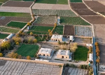 10 years of enmity between two families in Farah has ended