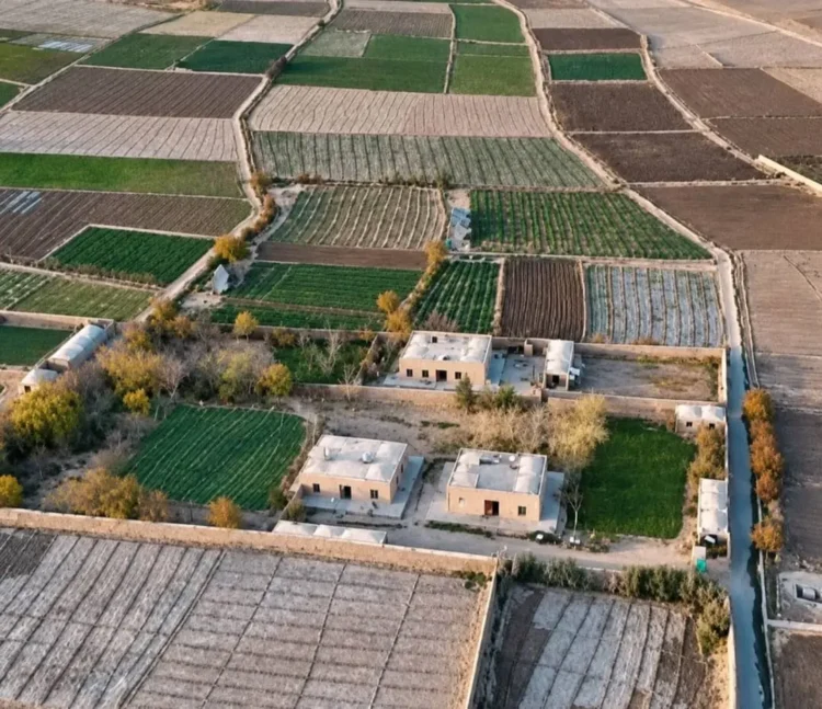 10 years of enmity between two families in Farah has ended