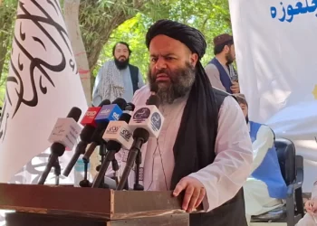 Minister of Culture and Arts participated in the traditional festival of black pines in Kapisa