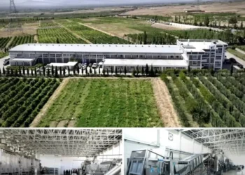 The governor of Kabul visited the “Afghan Samon” raisin processing factory