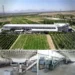 The governor of Kabul visited the “Afghan Samon” raisin processing factory