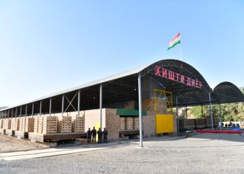 EDB forecasts strong growth in Tajikistan’s retail trade