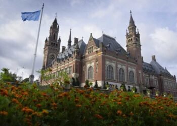 Guyana reaffirms confidence in International Court of Justice