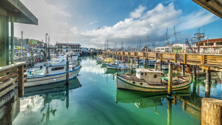 The 12 Best Bay Area Seafood Restaurants