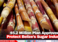 $5.2 Million Plan Approved to Protect Belize’s Sugar Industry