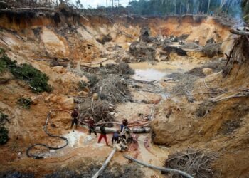Reuters: US seeks greater access to minerals from Venezuela