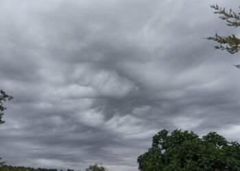 Cloudy weather today, but no rain is expected