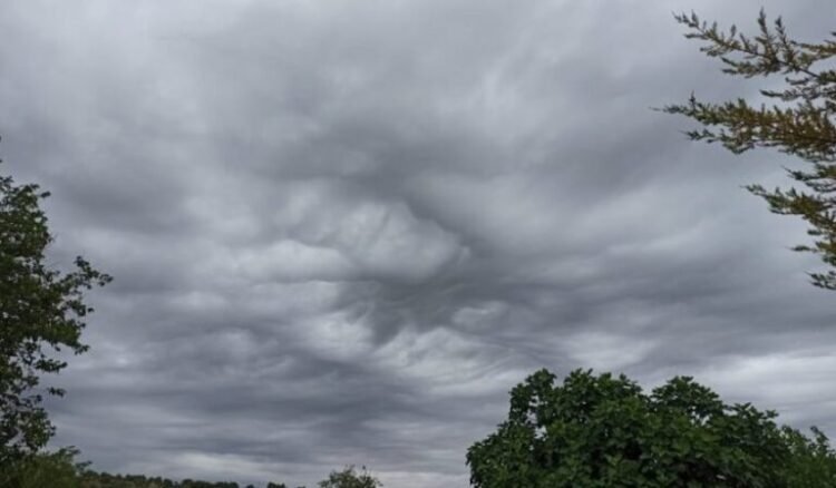 Cloudy weather today, but no rain is expected