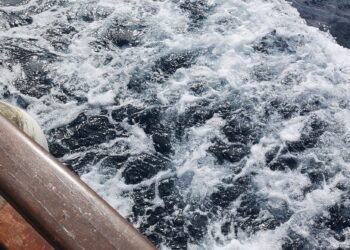 Police search for missing fisherman from Atkinson