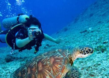 Dominica earns 11 recognitions in 2027 Scuba Diving Readers’ Choice Awards