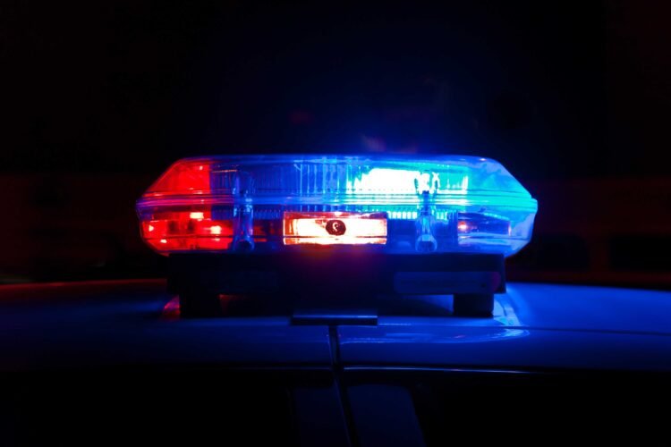 Four held; ammo and weed seized
