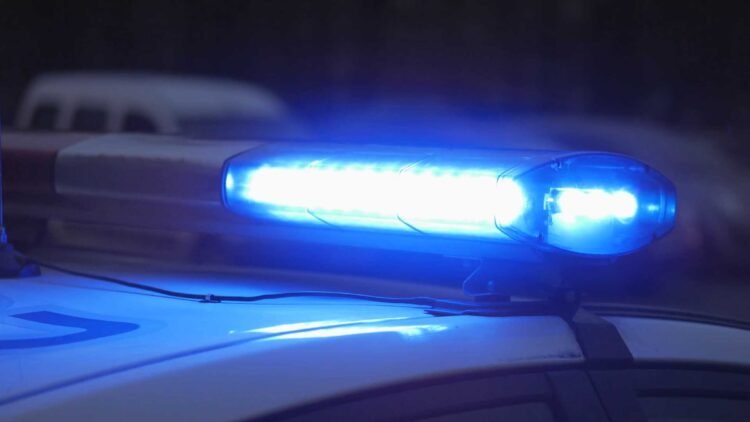Teens held after car theft at gunpoint