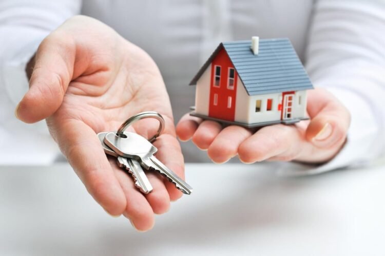 Trade and real estate account for 24% of Georgia’s GDP