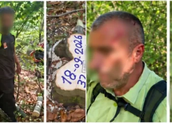The forest guard in Shtime was physically attacked during the intervention against illegal logging