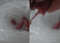 VIDEO/ KMY’s next scandal, sells sausages with mason’s twine – Shqip.com