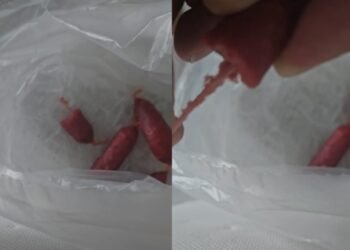 VIDEO/ KMY’s next scandal, sells sausages with mason’s twine – Shqip.com