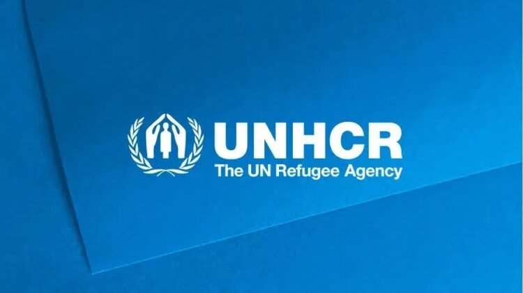 UNHCR to expand protection and self-reliance opportunities in Tajikistan (Exclusive)