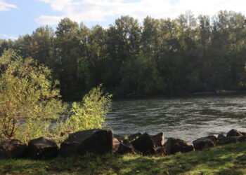 Lane County Commissioners begin the process of dissolving a board that manages erosion control on part of Willamette River