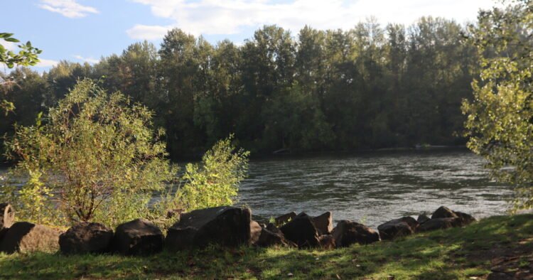 Lane County Commissioners begin the process of dissolving a board that manages erosion control on part of Willamette River