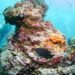 Research suggests global warming has increased ‘super’ El Niño’s punch