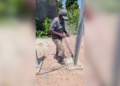 PUP Chairman Weighs In on Gilroy Usher’s Viral Fence Dispute