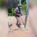 PUP Chairman Weighs In on Gilroy Usher’s Viral Fence Dispute