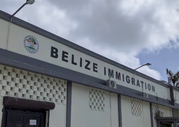Missing Immigration Money Trail Leads to Treasury