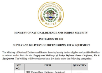 Eight Thousand BDF Uniforms, One Closely Watched Bid